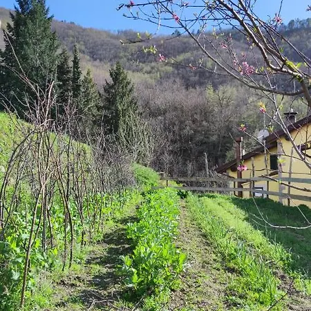 La Pezzuola 53 別荘 *