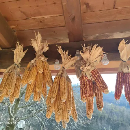 La Pezzuola 53 Casa de Férias *