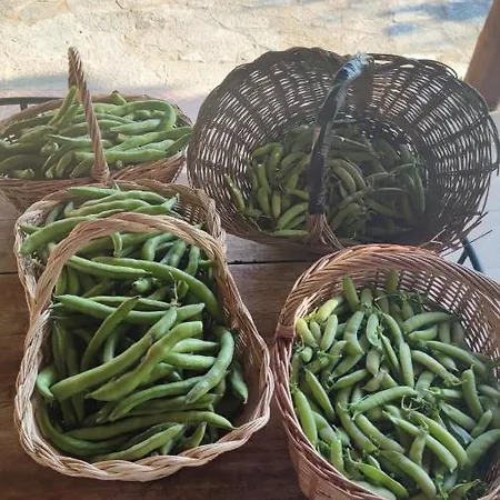 Σπίτι διακοπών La Pezzuola 53 *