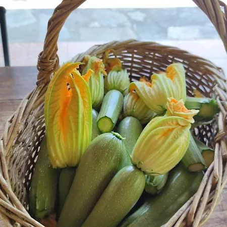 Casa de Férias La Pezzuola 53 *