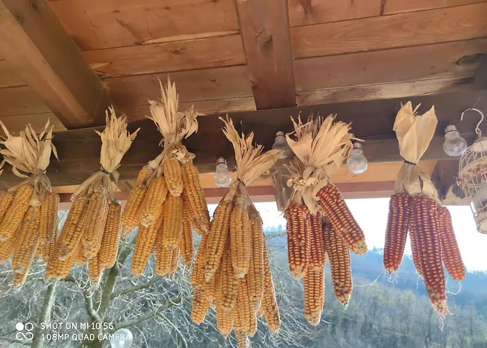 La Pezzuola 53 Hébergement de vacances *