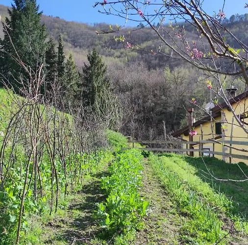 La Pezzuola 53 Hébergement de vacances *